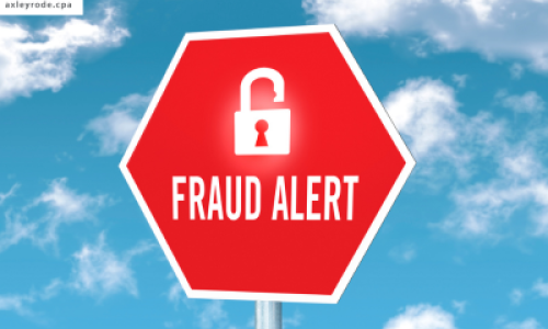 How can Quickbooks be used as a Fraud Detection tool